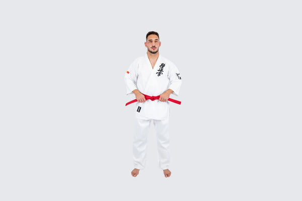 Kyokushin vs. Ashihara: care stil de karate ți se potrivește?