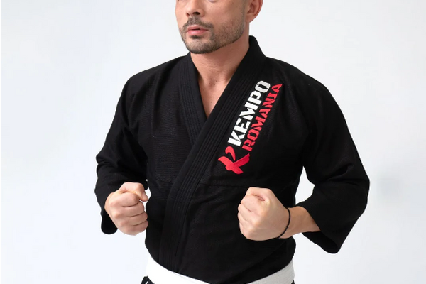 Care este ordinea centurilor la Kempo Karate și ce semnificație au culorile?