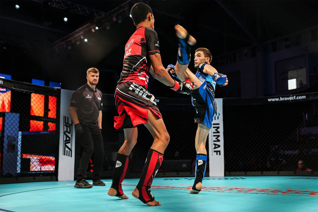 mixed martial arts