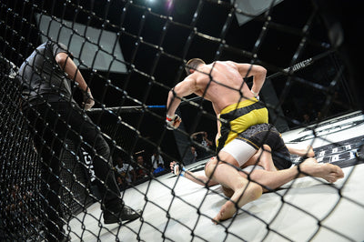 Reguli MMA: Condiții generale de practicare a luptelor
