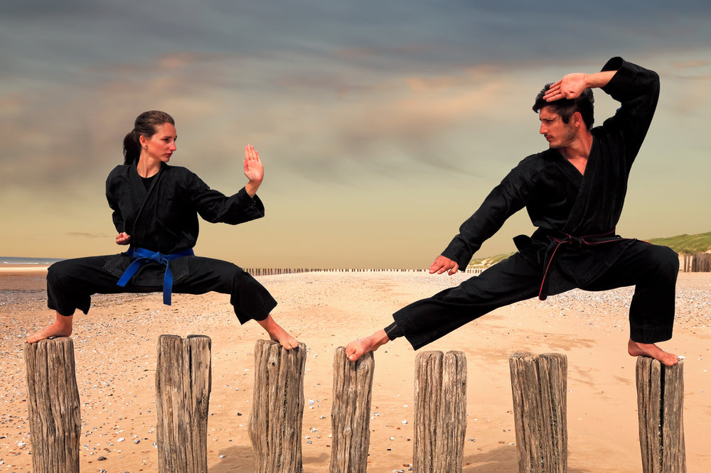 Totul despre Kempo: Istorie, stiluri celebre și alte particularități ale practicării acestei discipline