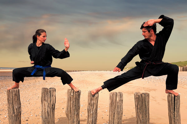 Totul despre Kempo: Istorie, stiluri celebre și alte particularități ale practicării acestei discipline