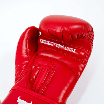 Mănuși de Box Knockout Kempo Junior | knock-out.ro
