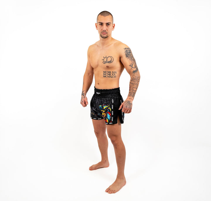 Sort Kickbox Knockout LION | knock-out.ro