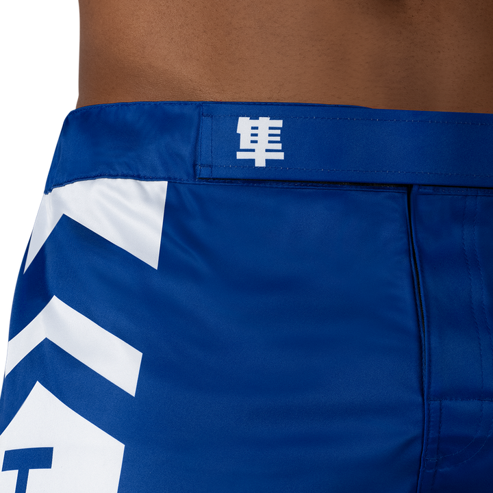 Sort MMA Hayabusa Icon
