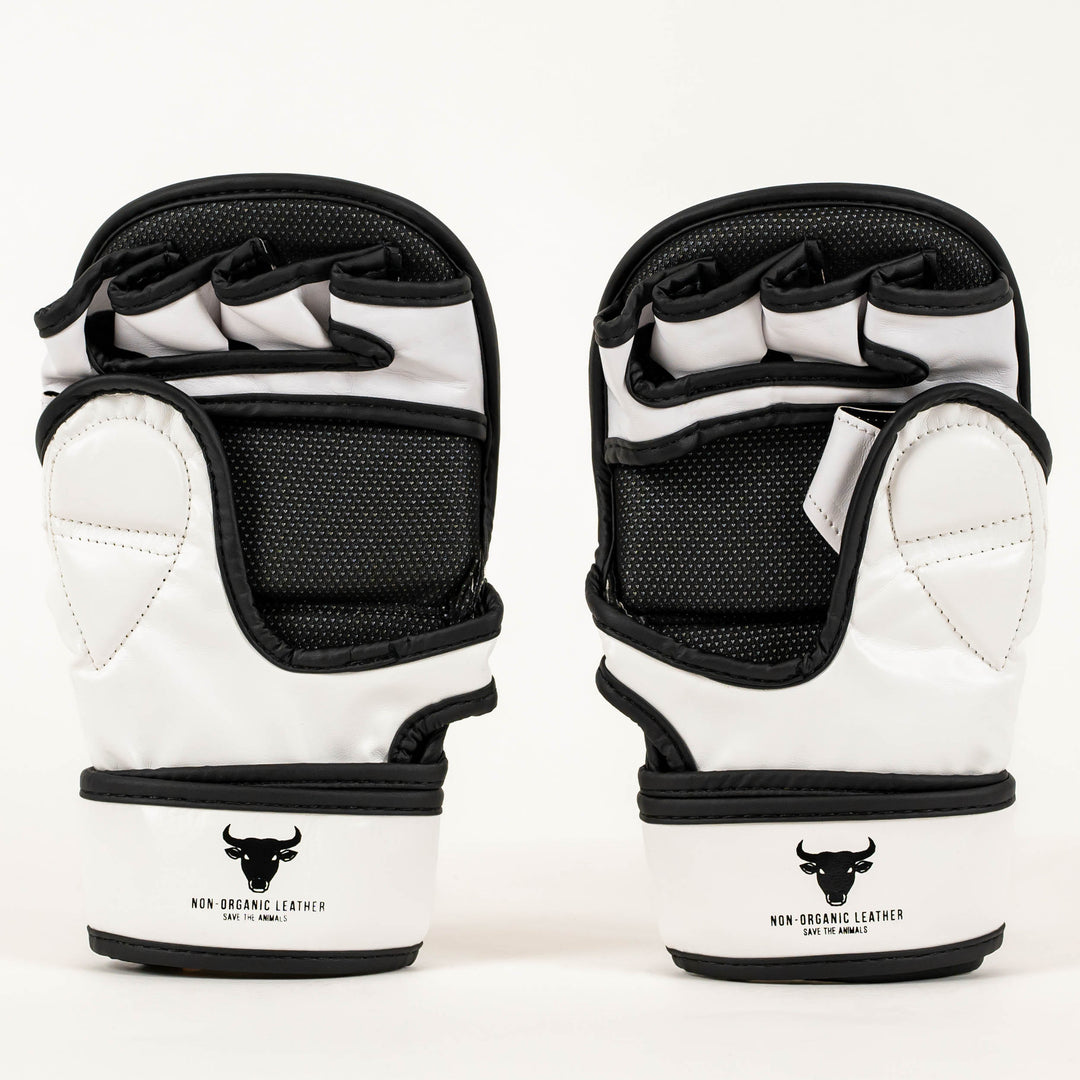 Manusi MMA Knockout Sparring