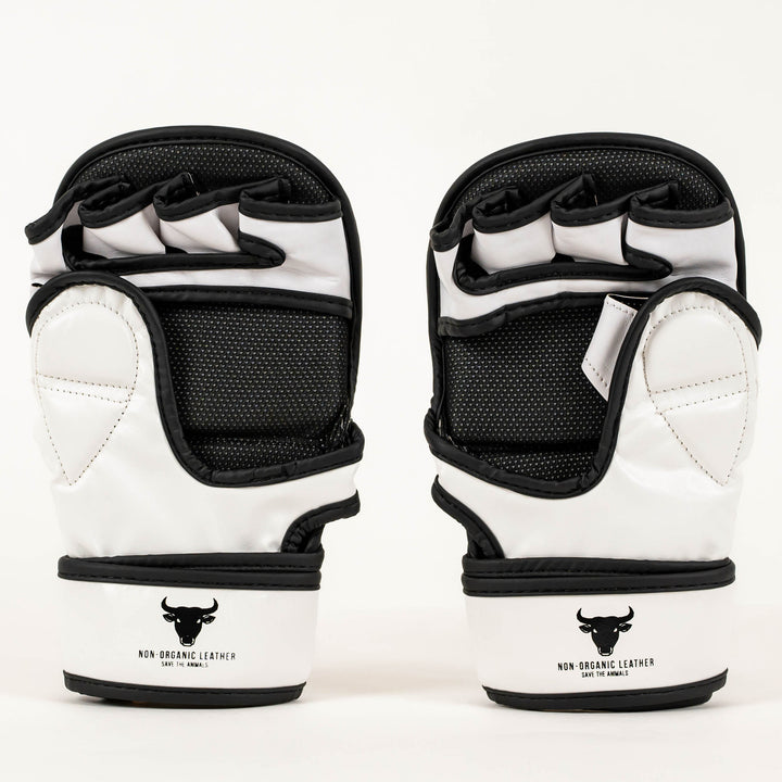 Manusi MMA Knockout Sparring