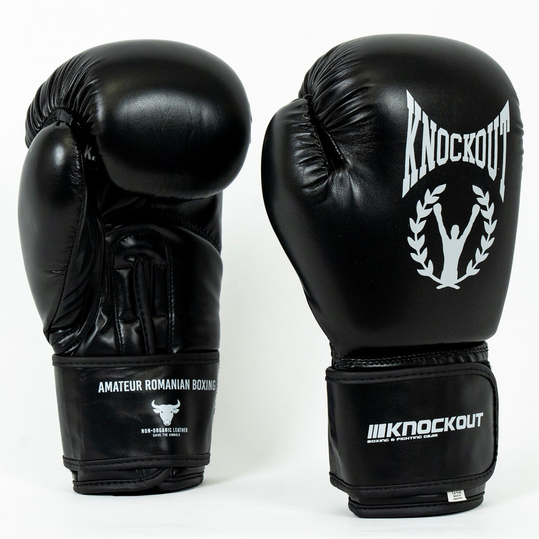 Manusi Box Knockout Competition