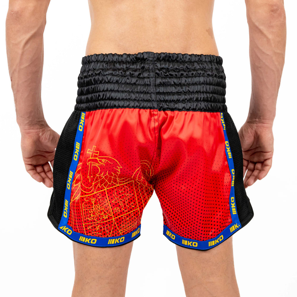 Sort Kickbox Knockout Romania | knock-out.ro